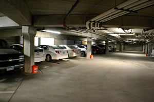 photo from heated garage